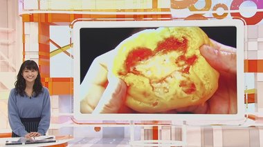 今年はチーズに注目!おいしく進化した「新作中華まん」をコンビニ3社で食べ比べ