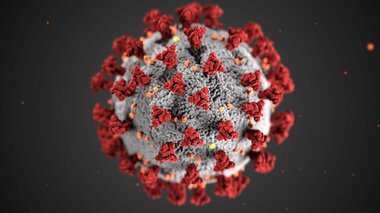 世界で“コロナ死”370万人の悲劇「だれが責任を取ってくれるんだ!」ウイルス起源の徹底究明が再発防止の鍵
