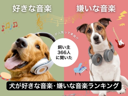 【飼い主366人に調査】犬が好きな音楽・嫌いな音楽ランキング!クラシックが堂々の1位に!