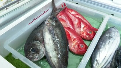 日本一海から遠い!?海産物直売所　キンメダイ、活ヒラメ…川魚の養殖業者が開店「山国でも海を感じて」　深夜3時に千葉で買い付け→3時間で店頭に　食卓では“浜焼き“「ここが海なんじゃないか」長野・佐久穂町