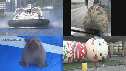【回顧・話題】待望のサイゼリヤ初出店、テレビ局に珍客「ガラス衝突のフクロウ」、セイウチの赤ちゃん誕生【大分発】