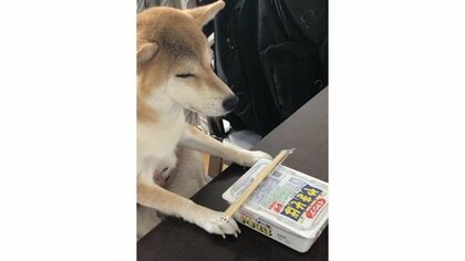 「3分待ってる風な感じ出すのやめて」カップ焼きそばの前で“瞑想”する柴犬に爆笑…なぜこうなった？飼い主にその後を聞いた