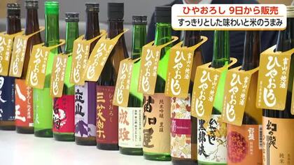 秋の味覚「ひやおろし」9月9日解禁　インバウンド効果売れ行き好調、米のうまみ感じるまろやかな仕上がり