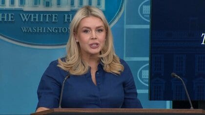 「レバノンは停戦合意に含まれず」アメリカのレビット報道官会見