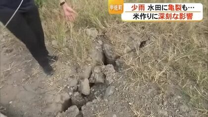 「地割れで水が行き届かない」米作りに深刻な影響　「雨欲しい」水不足重なり農家悲鳴【令和８年熊本地震】