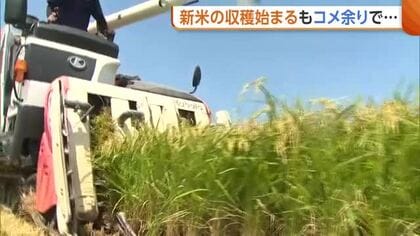【新米】「今年は安すぎ」新米の収穫始まるも関係者から不安の声　米店には例年の5倍の在庫…スーパーでは新米・古米が同時に店頭へ「かなり余っている」新潟