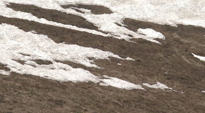 雪不足に季節外れの陽気…
