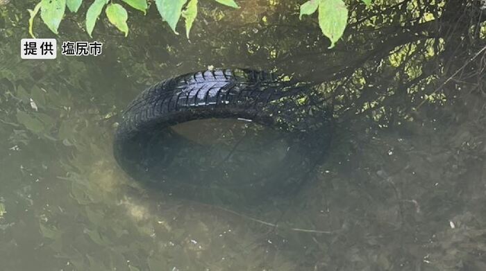 湖に大量のタイヤが浮かぶ 提供:塩尻市