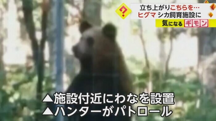 (根室市)