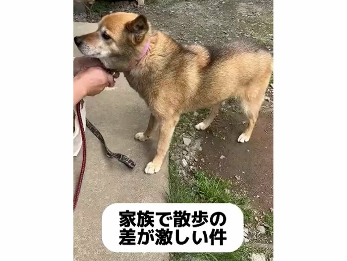 提供:タチバナさんの毎日ルーティン