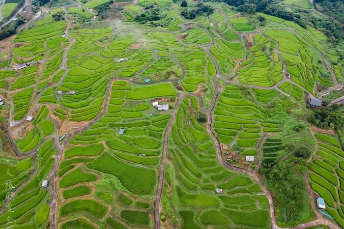 長野県　姨捨の棚田（2025年8月撮影）