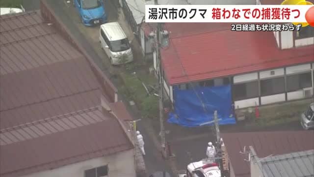クマがとどまっている湯沢市の住宅(20日撮影)