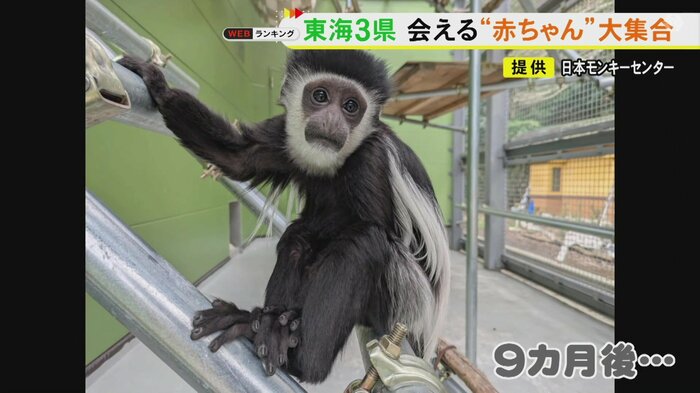 ニュースONE