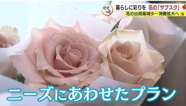 サブスクは様々なプランを用意