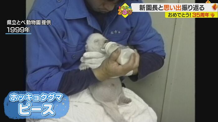 生まれてまもない頃のピース(県立とべ動物園提供)