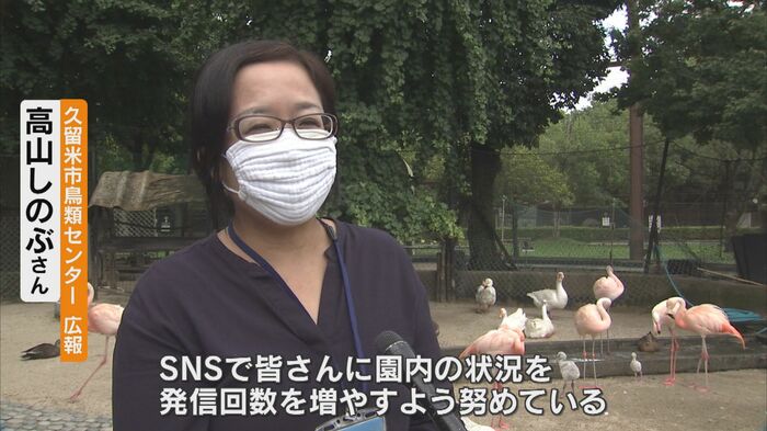 久留米市鳥類センター広報・高山しのぶさん