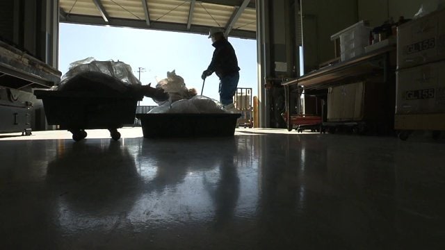 駆除された野生動物は焼却される