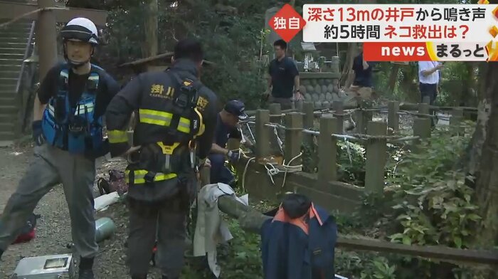 高天神城跡を訪れていた人から通報。1匹のネコが井戸の中に(静岡・掛川市)
