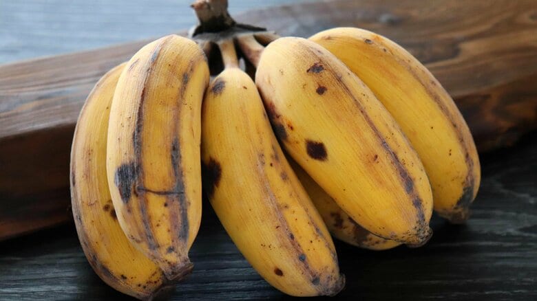 茶色くなったバナナや柔らかくなった柿、いつまで食べられる?果物の食べごろの見極め方と逃がした時のスイーツレシピ|FNNプライムオンライン