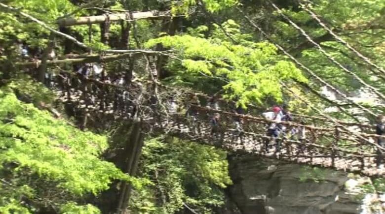 【速報】人気の観光地「かずら橋」付近で高齢男性が川に転落し死亡 「誰かを待っている様子だった」|FNNプライムオンライン