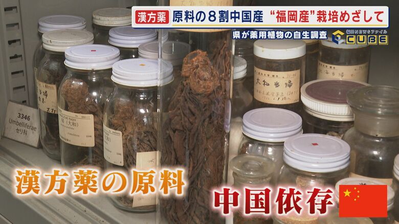 需要が高まる漢方薬 原料の8割が中国産 日中関係冷え込みリスク分散へ 国産原料の必要性が高まる 【福岡発】|FNNプライムオンライン