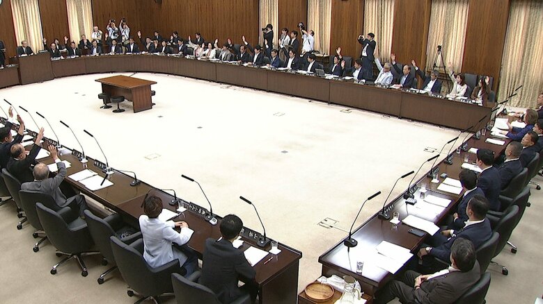 「国民投票法改正案」が参院憲法審で可決　２４日の本会議を経て成立へ｜FNNプライムオンライン