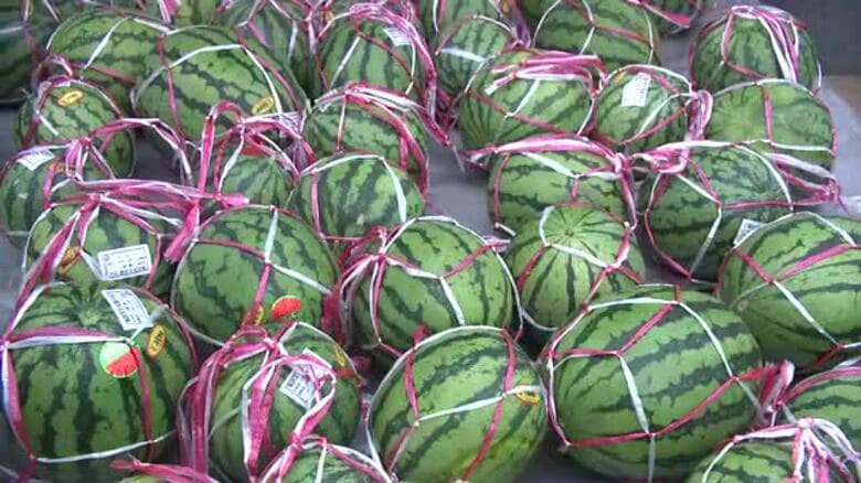 「滝沢スイカまつり」　2500個が並び早朝からにぎわう　岩手県｜FNNプライムオンライン