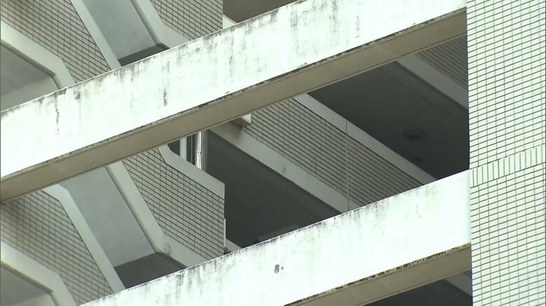 少年が部屋に侵入し母娘3人切りつけ逃走　少年はマンションの外階段付近から転落か　病院で死亡確認　大阪市此花区｜FNNプライムオンライン