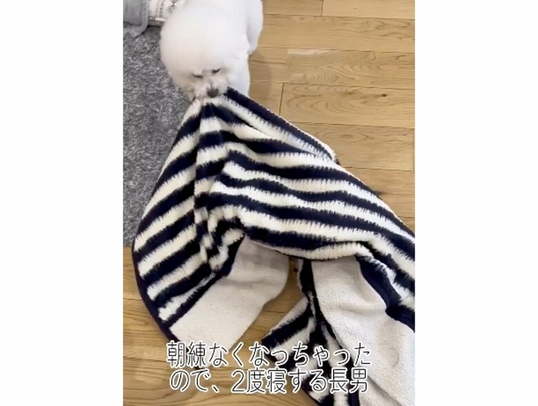 提供：エマ emmaさん