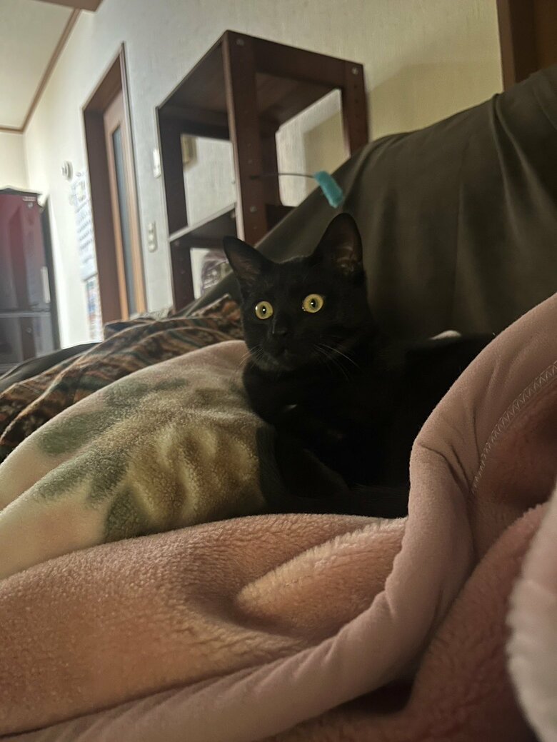 テレビ鑑賞中（提供：サラミさん）