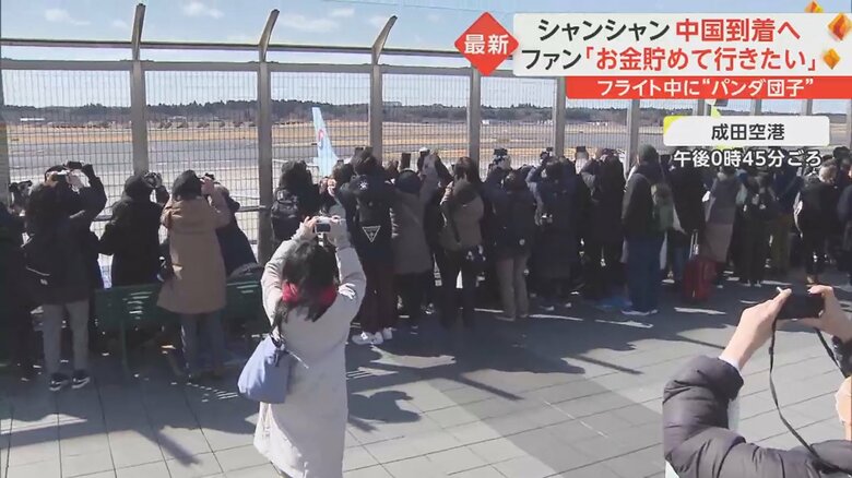 シャンシャンを見送ろうと成田空港に集まったファン