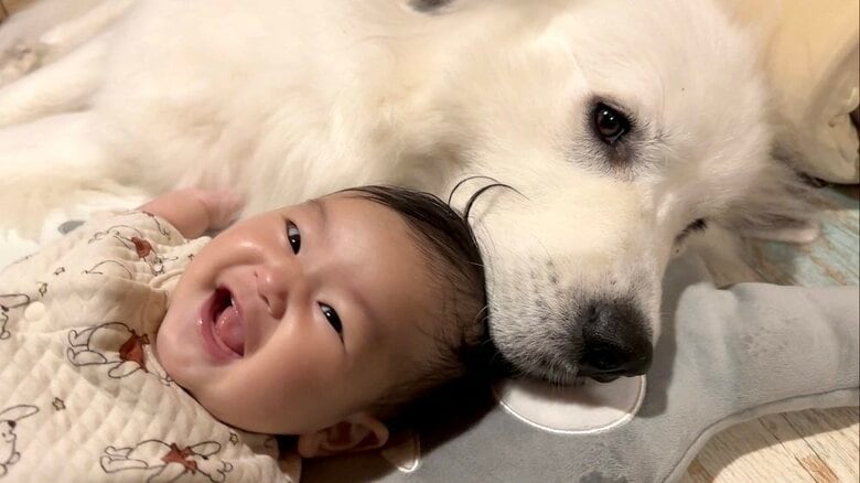 娘さんもシュシュちゃんがそばにいると嬉しそう