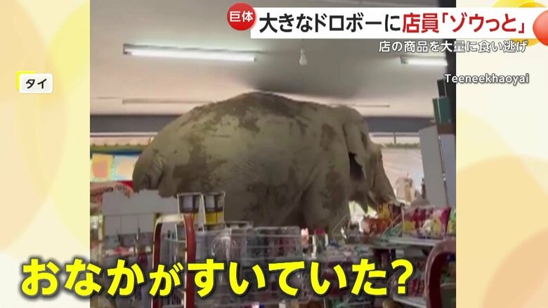 店に入ってきた大きなゾウ