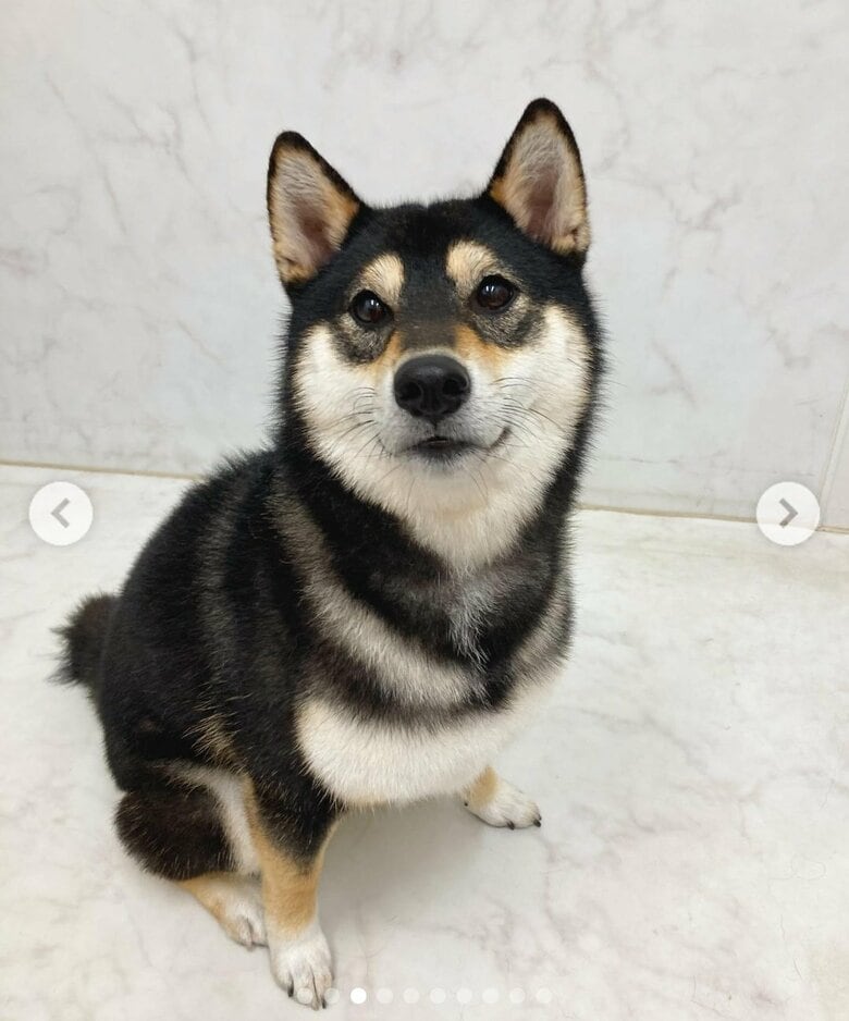 提供：掃除魔さん