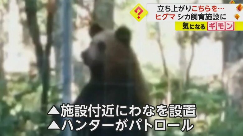 （根室市）