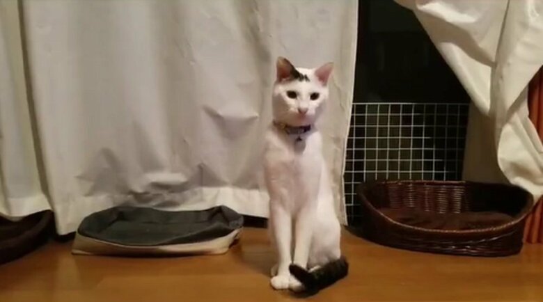 座っている豆大福くん