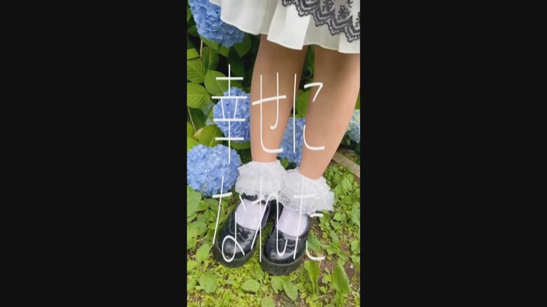 ヒナちゃんが制作した動画