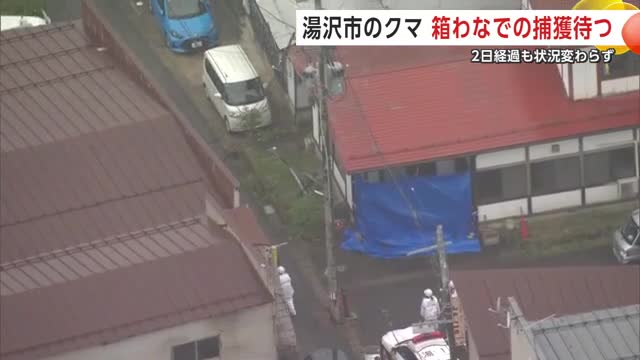 クマがとどまっている湯沢市の住宅（20日撮影）