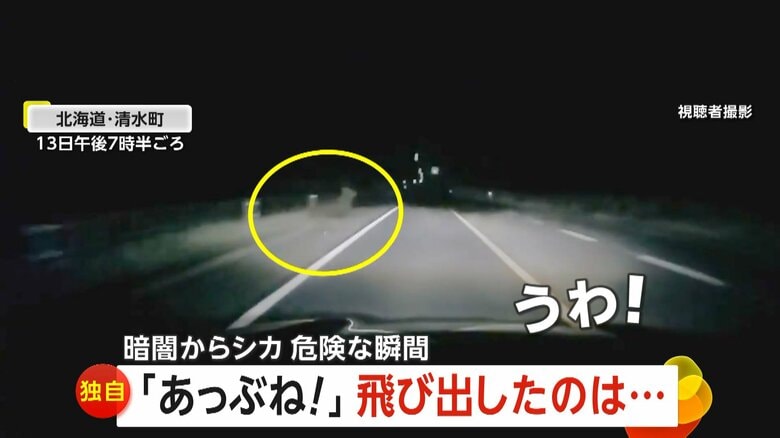 走行中の車の前にシカが突然飛び出す瞬間（13日午後7時半頃、北海道・清水町）①
