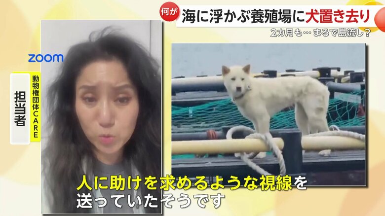 人に助けを求めるような視線を送っていたという