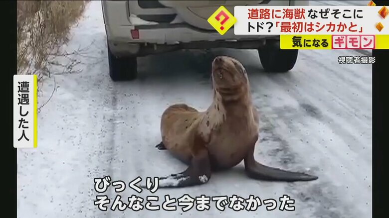 撮影した人は「そんなこと今までなかった」と話した