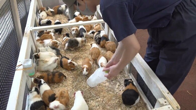 画像提供：公益財団法人東京動物園協会
