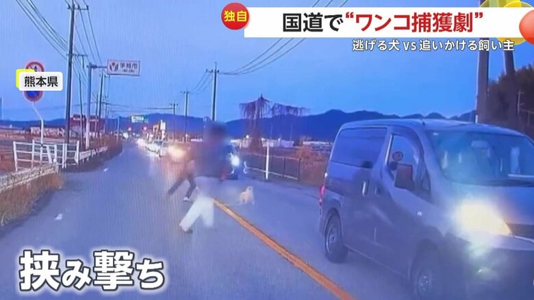 捕まえようとする人間たちを翻弄する犬（視聴者提供）