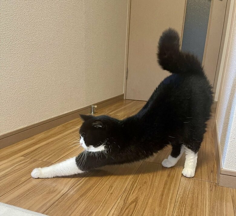 お気に入りの場所