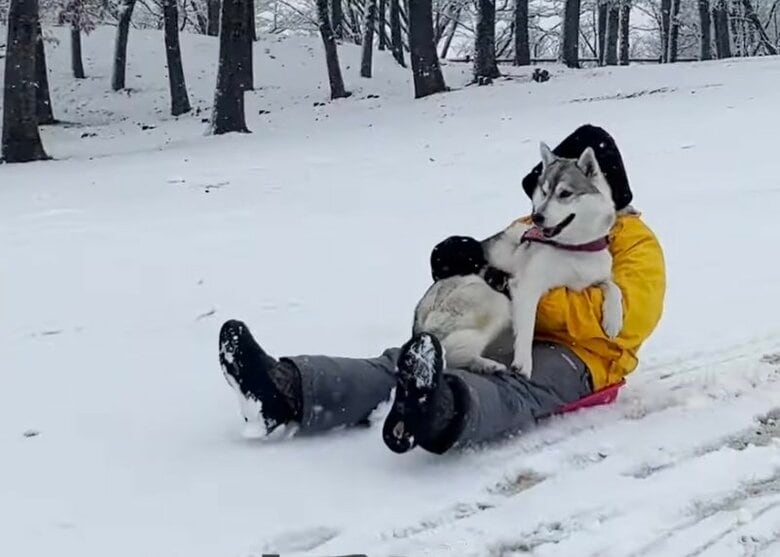 提供：ハスキーいちみちゃんと田舎暮らしさん