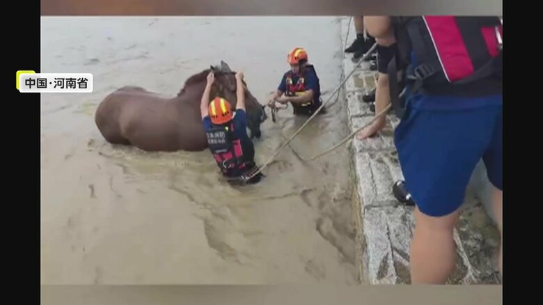 自らも川につかり、馬にロープをかけて救助を行う救助隊の様子