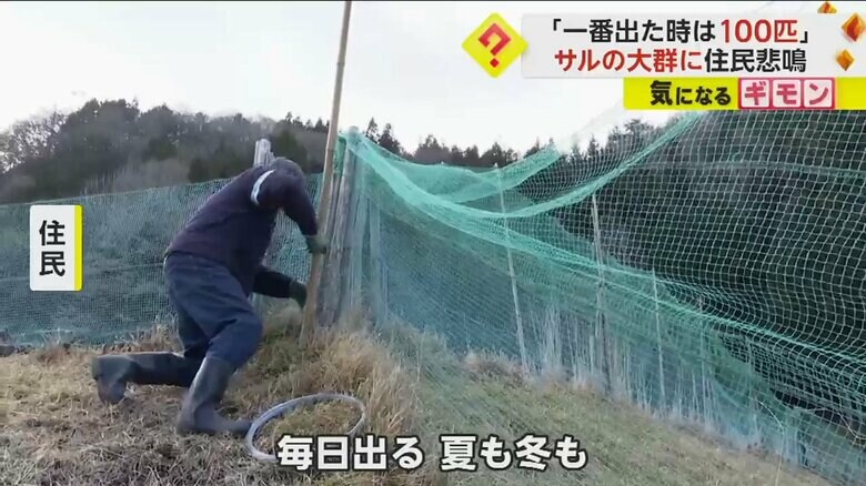 サルの出没について語る住民