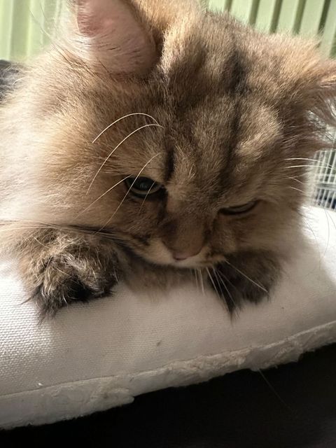 提供：ひなたさん