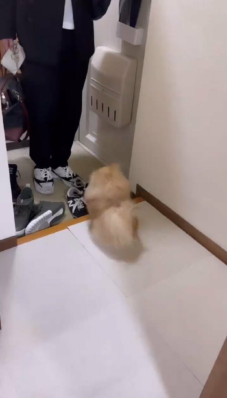 出張からパパさんが帰宅