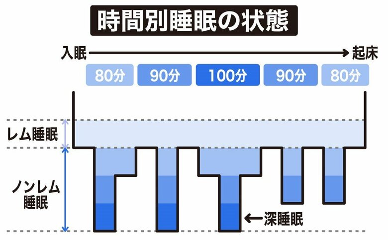 時間別睡眠の状態